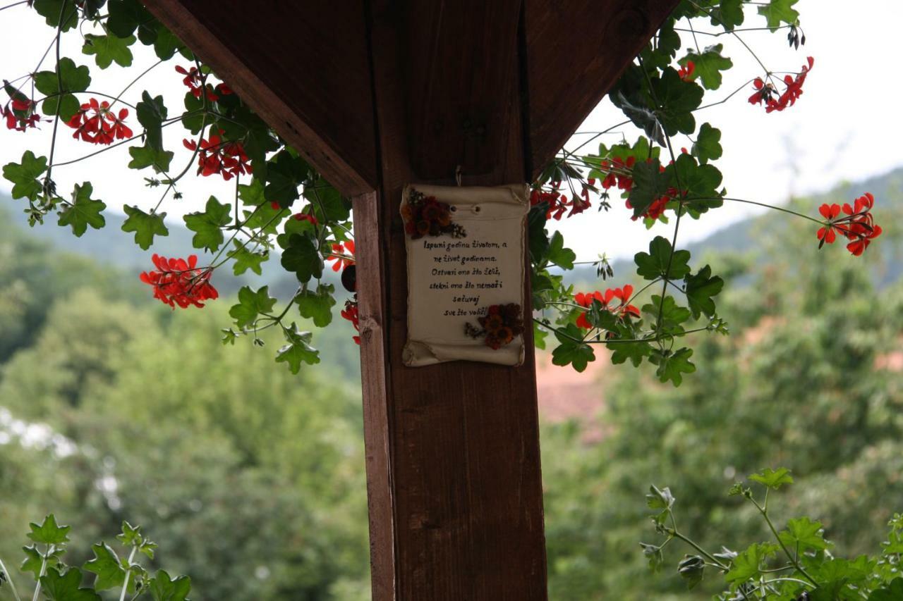 Apartman Antea Otočac Esterno foto