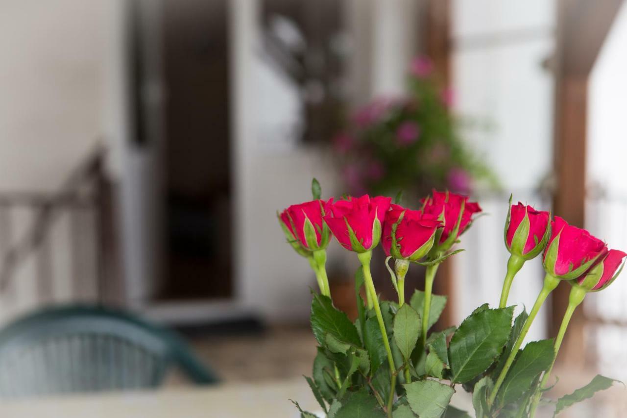 Apartman Antea Otočac Esterno foto